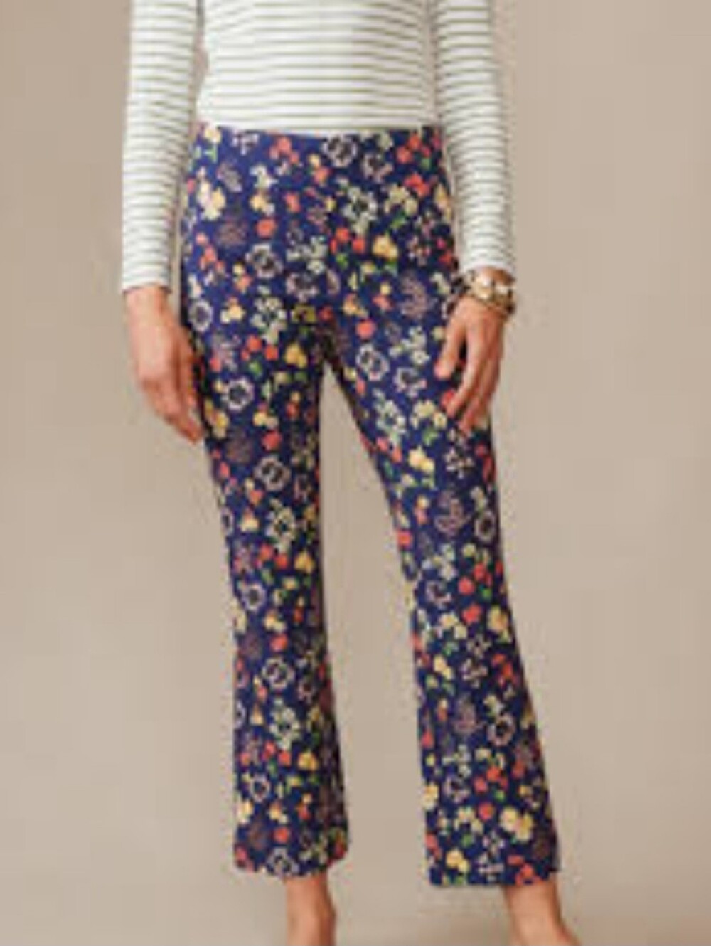 J.McLaughlin Stretch Crop Pant Floral Cropped Pants Blue Size 6 Like New